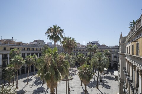 마이 어드레스 인 플라사 레알