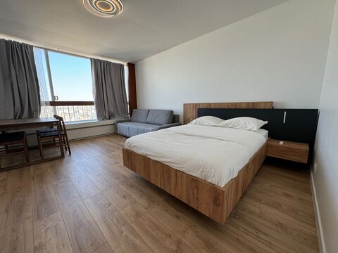 파리 벨뷰 (전망좋은 에펠탑 근처)