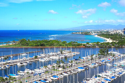 하와이 알로하 티아레 일리카이