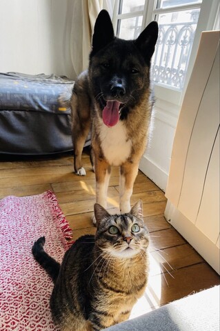 파리 프랑스 요리사 몽쉐프 가정집