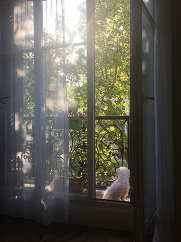 본뉘파리 샤틀레 마레 스위트룸 독채 