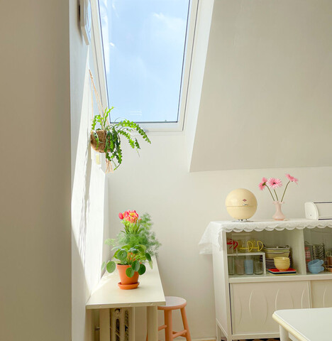 도브리프라하 한인민박