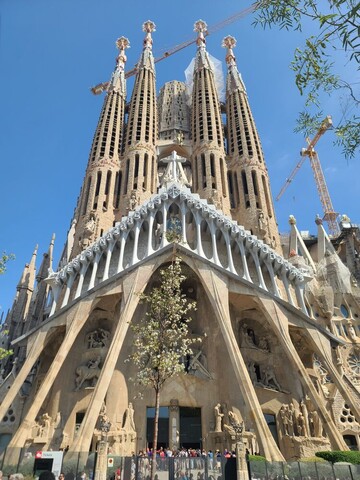 로꼬 민박(2호점) : 로꼬 도미토리