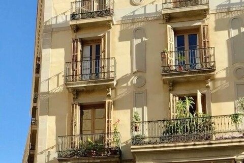 바르셀로나 일루올레