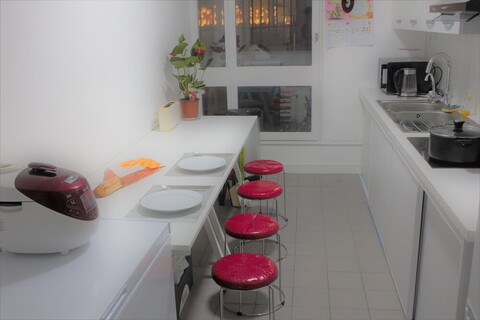 파리 소나무 하우스