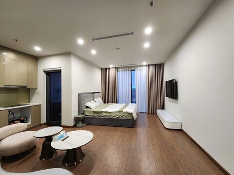 하노이 매트릭스원 스튜디오형 원룸