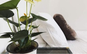 소소당(笑笑堂) 런던