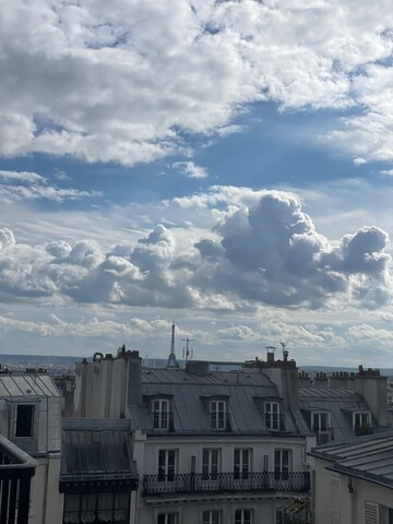 몽마르뜨 위드파리