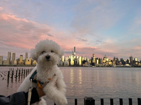 뉴욕 뉴저지 루이네 홈스윗홈 민박