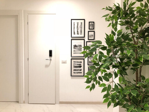 로마 피노키오 민박