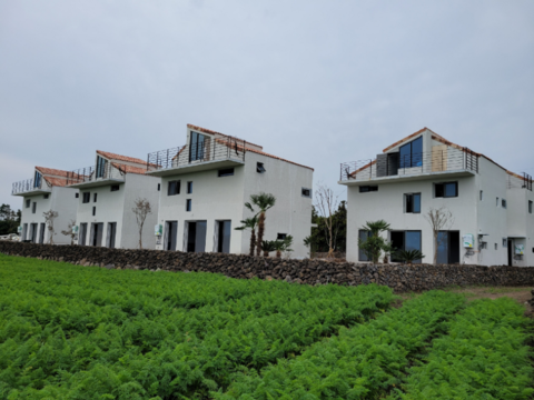 제주 비자림빌리지공간펜션