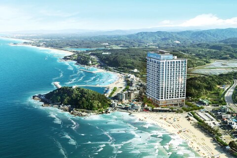 서프리조트 죽도 얼라이브 1