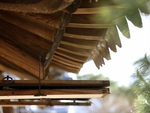 호텔어라이브 태안 탼 한옥비치리조트