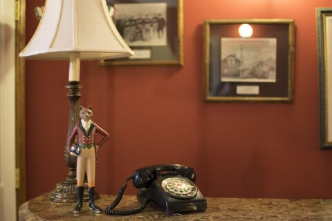 디 조지타운 인