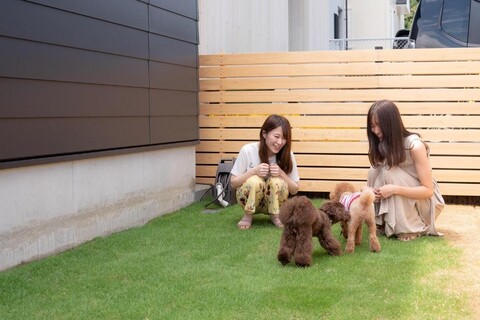 Awaji-shima C-Side Sky Arena