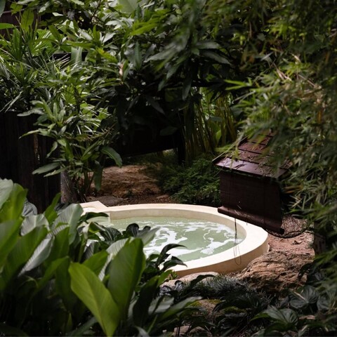 센스 레인포레스트