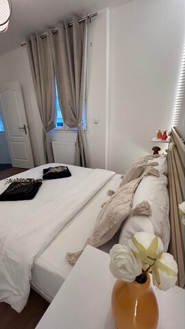 조용하고 현대적인 파리 동부의 라 메종