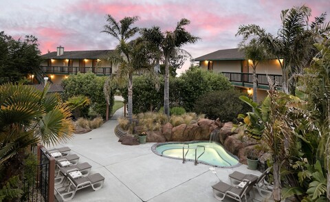 씨 파인즈  리조트