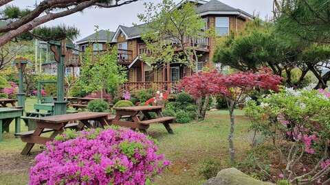 부안 펜션 메이플