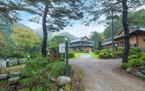 인제 백담소나무계곡펜션