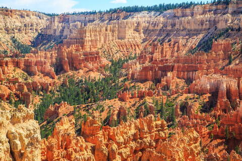 product-thumbnail-4