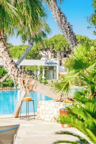 알파가르 프레스티지