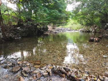 덕동달구지펜션