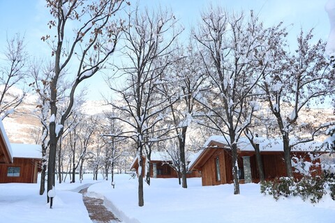 레이지 비 캠핑 빌리지