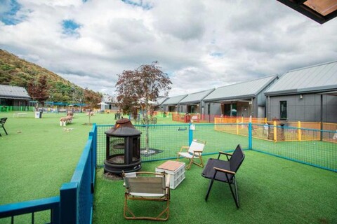 Starlight Dog Pension