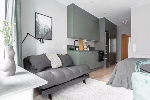 카롤린스카 연구소 근처의 현대적인 스튜디오