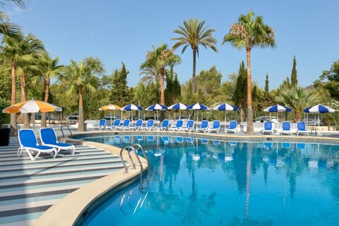 텐트 모히토 스위트