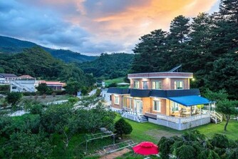 강릉 복사꽃정원