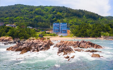 영덕 엑시트풀빌라