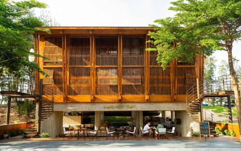 하비스트 데이 호이안