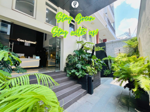 카투슬랜드 호텔 탄빈