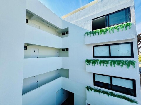 Colmena Hotel Los Cabos Marina