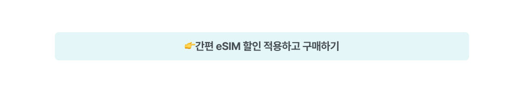 ESIM 여기.jpg