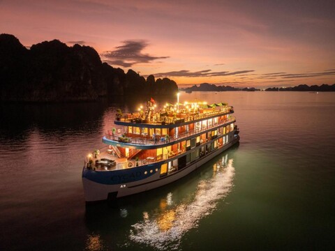 Cycad Luxury Cruise
