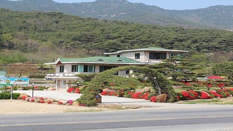 창녕 소나무풍경펜션