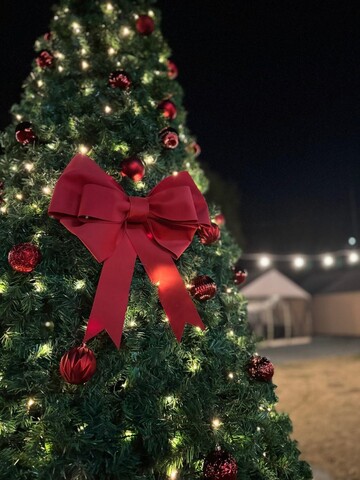 담양 라온 글램핑