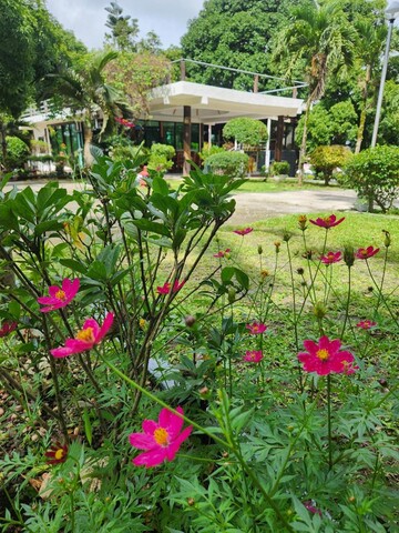 Jp Business Ventures