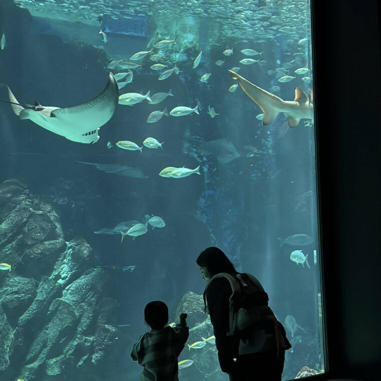 대형 수조 속 다양한 해양 생물을 감상하는 모녀의 평화로운 뒷모습