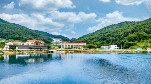 글램독 도그 펜션 통영점