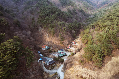 인제 자작나무길펜션