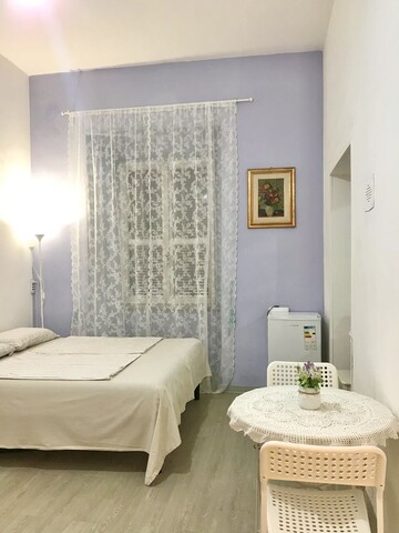 로마 비올라민박