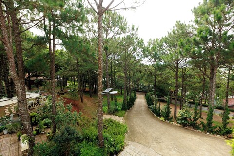 지아 안 호텔 달랏