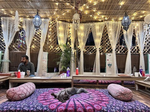 핑크 챕터 호스텔, 자이푸르