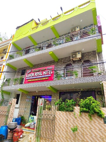 고룸고 아쇼크 로얄 푸리