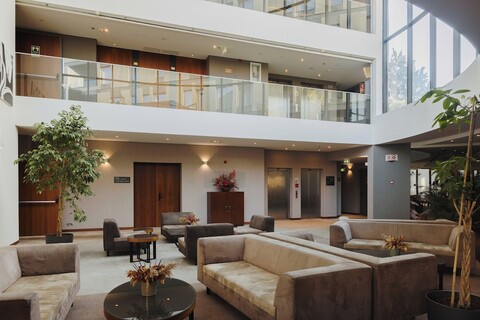 팀브레 에로이즈모