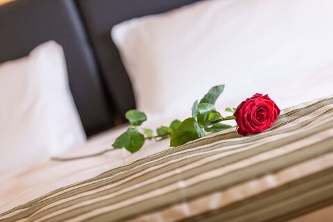 Hotel Regina Giovanna